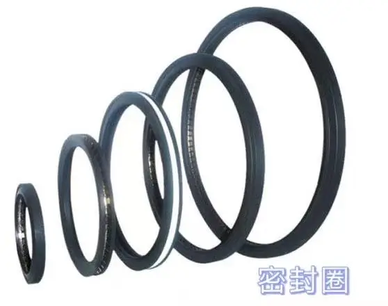 Sealing Ring